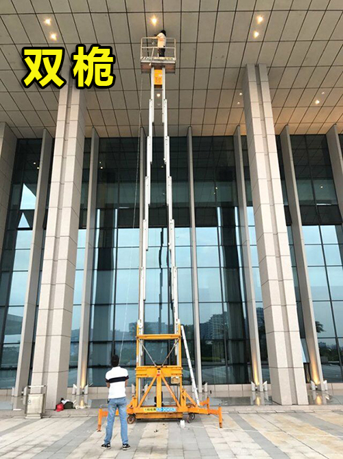 双桅杆升降机出租
